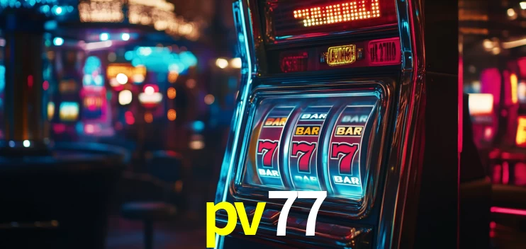 Programa VIP pv77